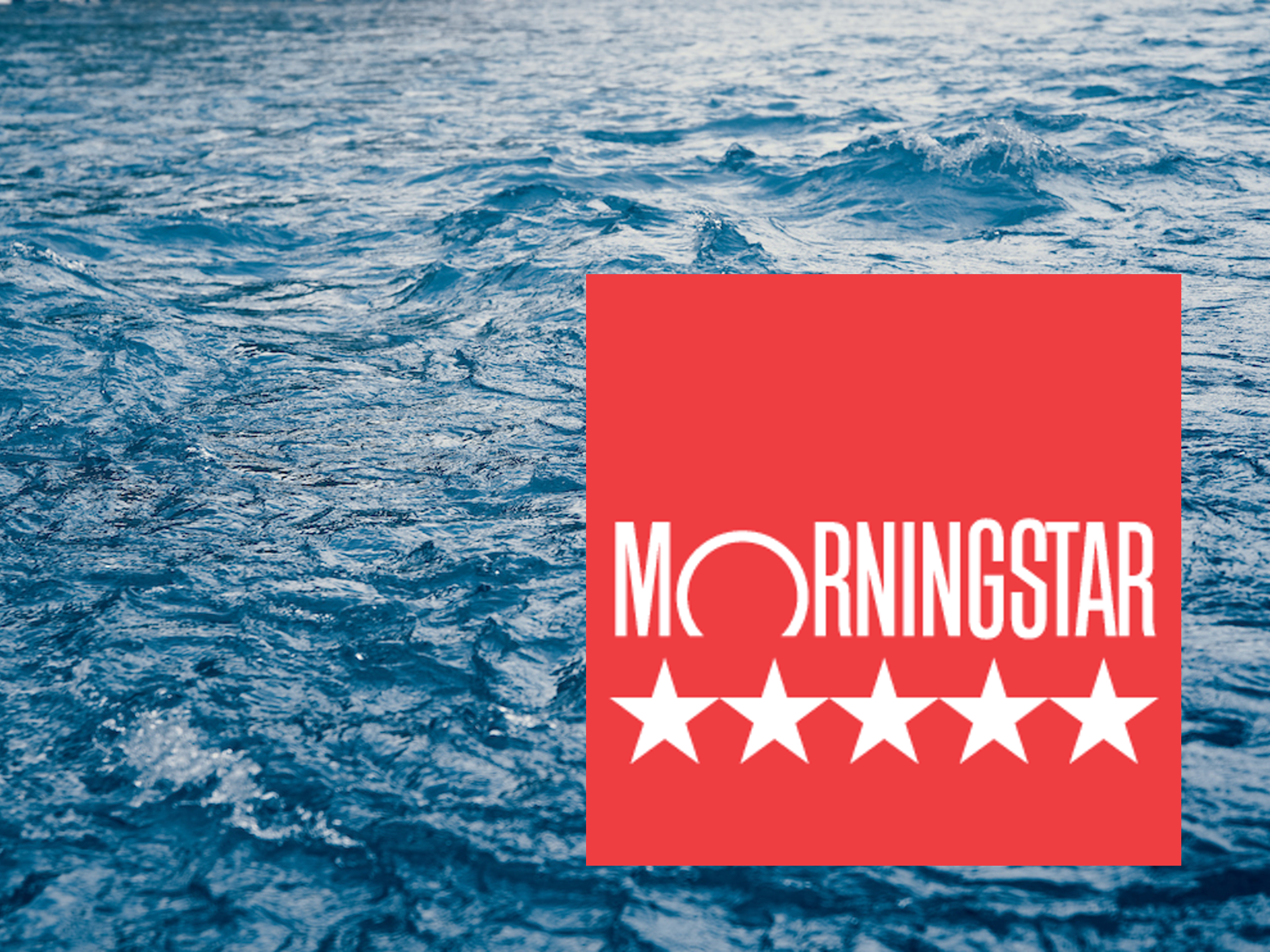 Morningstar_Frontsite_Tareno_WEB_2025