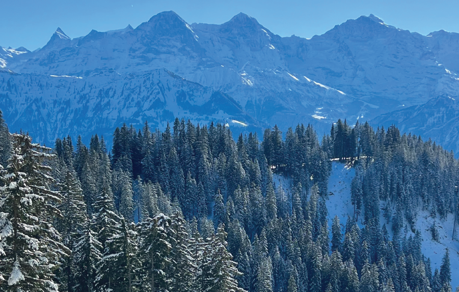 Auf dem Bild ist eine verschneite Bergwelt zu sehen. Im Vordergrund stehen Tannen. Im Hintergrund sind Berspitzen. Das Bild wurde für den Brunetti View verwendet.