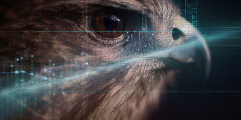 Hawk Eye 3